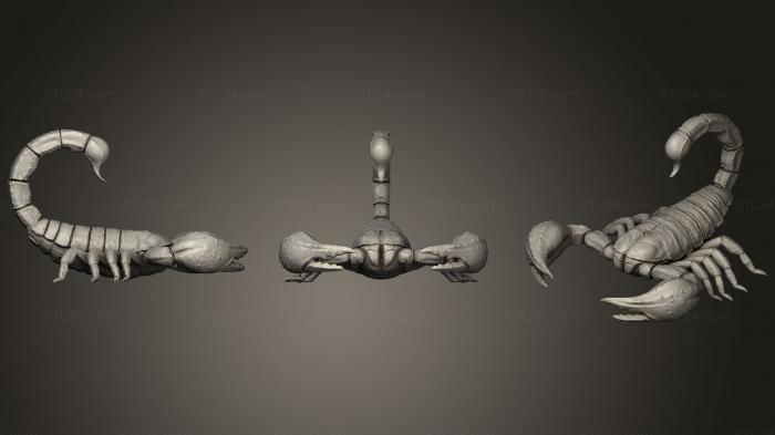 Статуэтки животных (Скорпион, STKJ_1434) 3D модель для ЧПУ станка